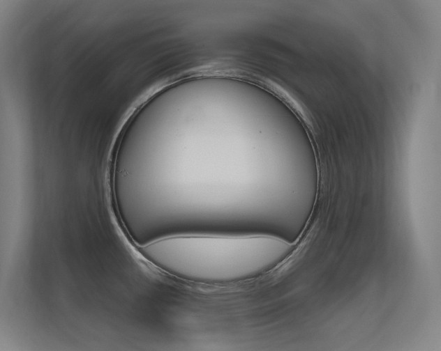 X0000112371434200908131245