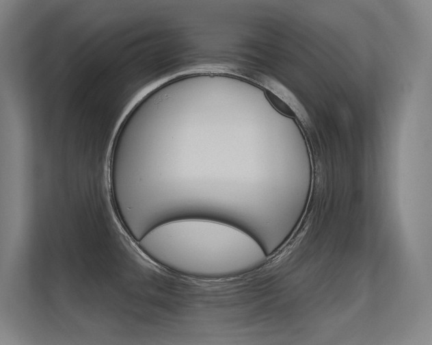 X0000112371436200908131245