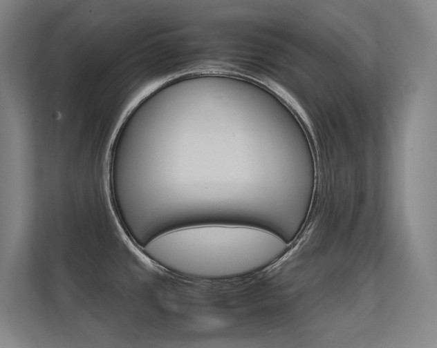 X0000112371437200908131245