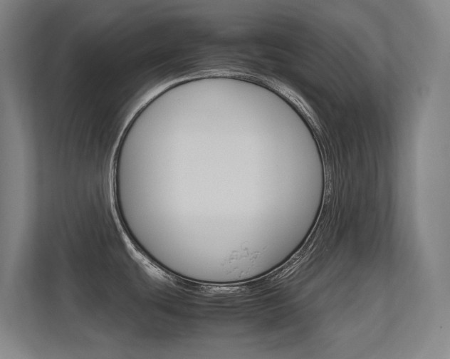 X0000112371439200908131245