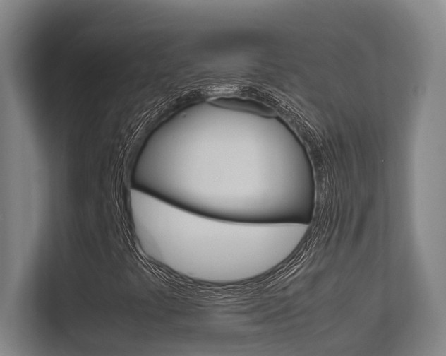 X0000112371441200908131245
