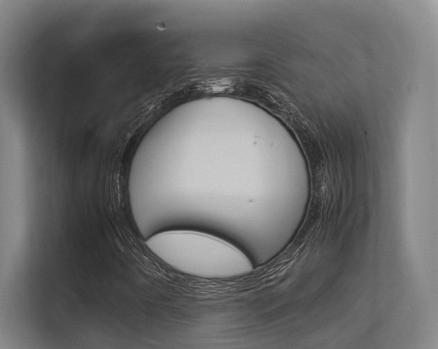 X0000112371442200908131245