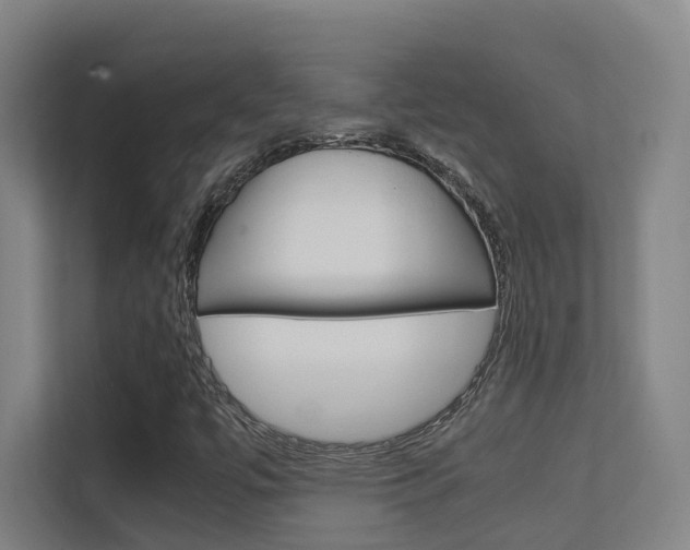X0000112371447200908131245