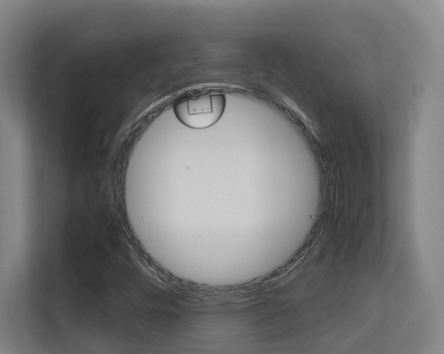 X0000112371448200908131245