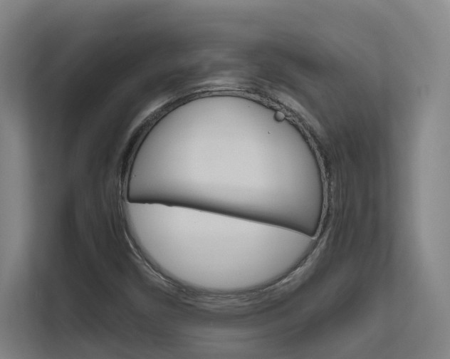 X0000112371450200908131245
