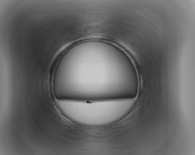 X0000112371452200908131245