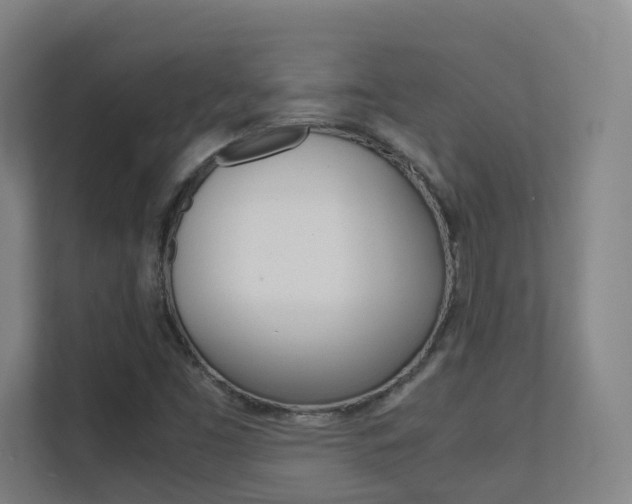 X0000112371453200908131245
