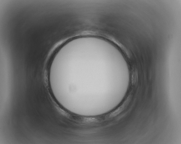 X0000112371454200908131245