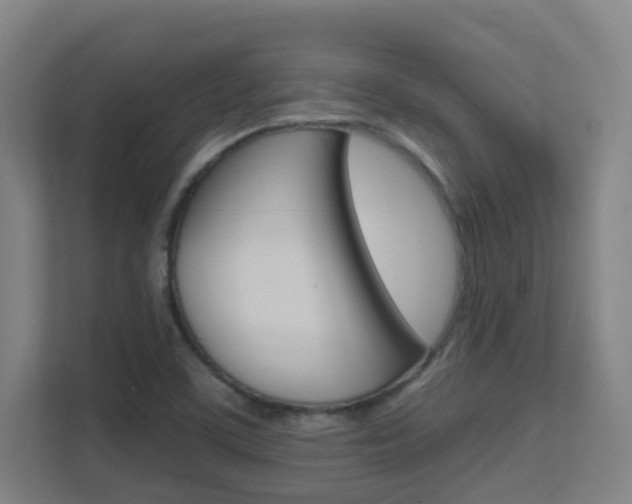 X0000112371459200908131245