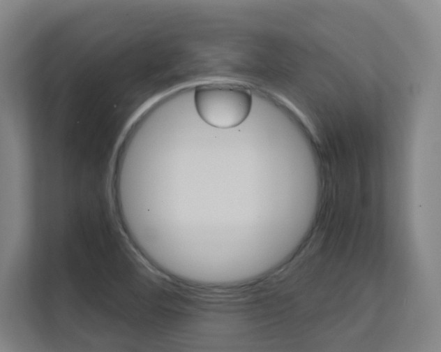 X0000112371460200908131245