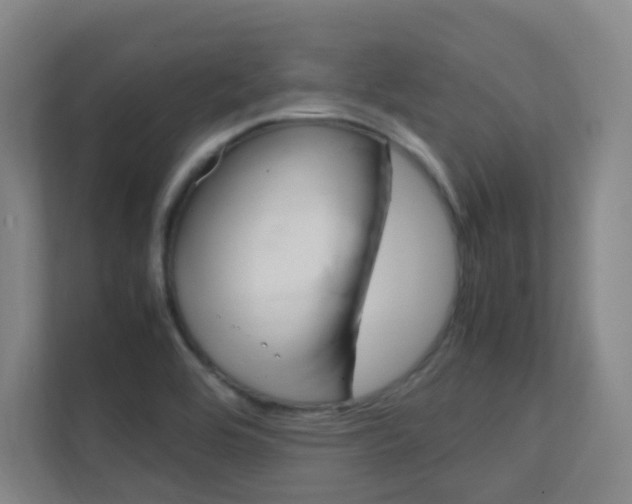 X0000112371464200908131245