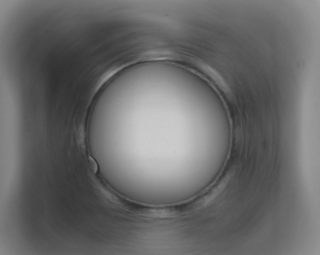 X0000112371465200908131244