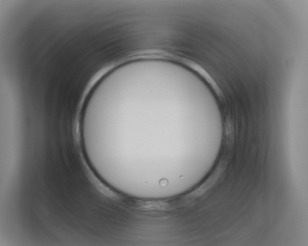 X0000112371466200908131244