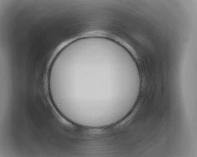 X0000112371470200908131244