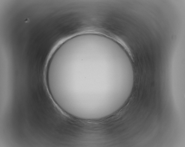 X0000112371472200908131244