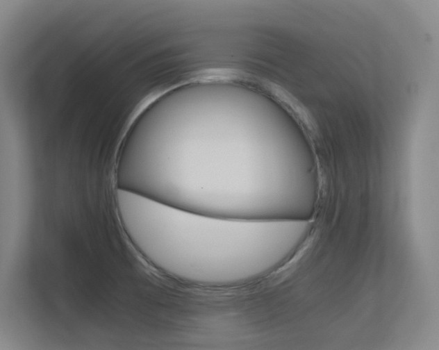 X0000112371473200908131244