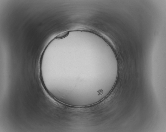 X0000112371479200908131244