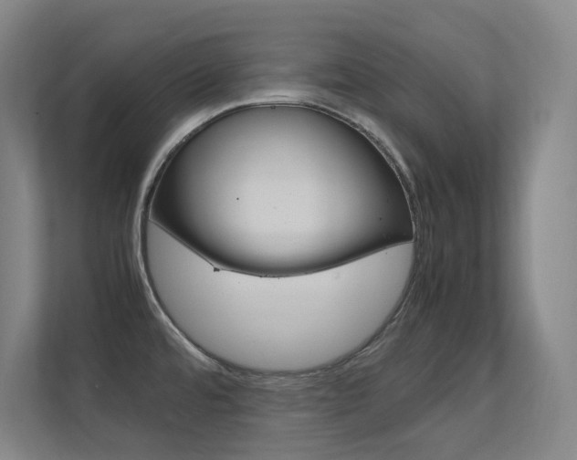 X0000112371480200908131244