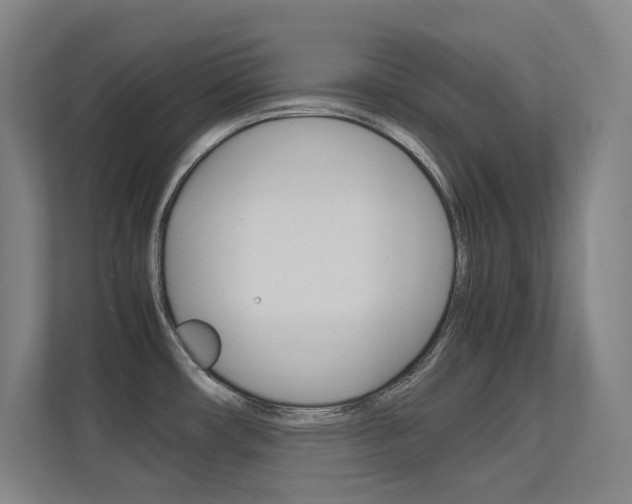 X0000112371482200908131244