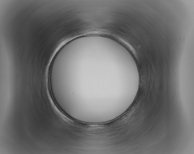 X0000112371483200908131244