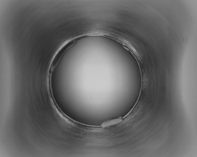 X0000112371484200908131244
