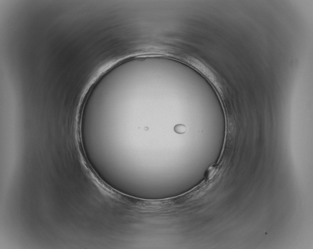 X0000112371485200908131244