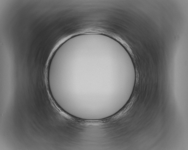 X0000112371486200908131244