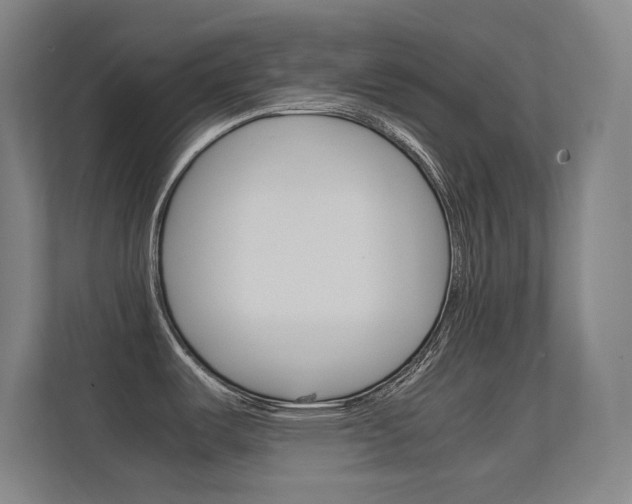 X0000112371487200908131244
