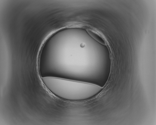 X0000112371488200908131244