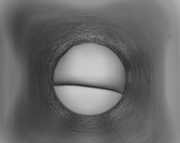 X0000112371489200908131244