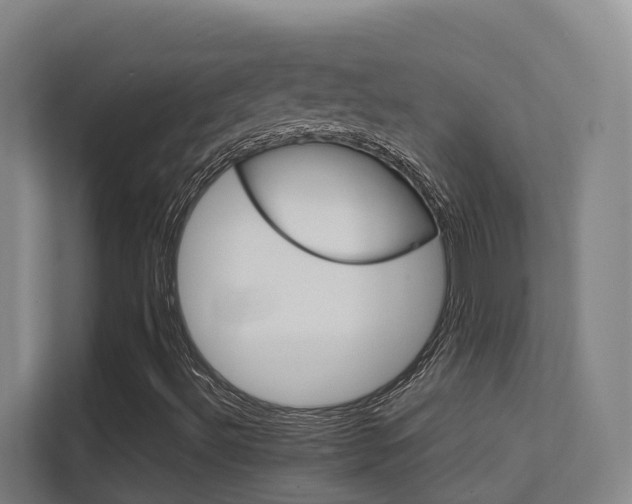 X0000112371492200908131244
