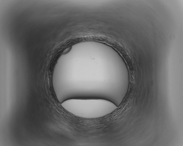 X0000112371493200908131244
