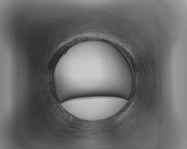 X0000112371494200908131244
