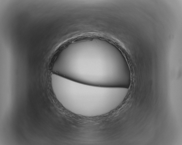 X0000112371496200908131244