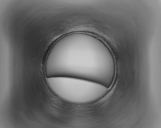 X0000112371497200908131244