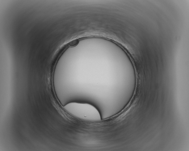 X0000112371499200908131244