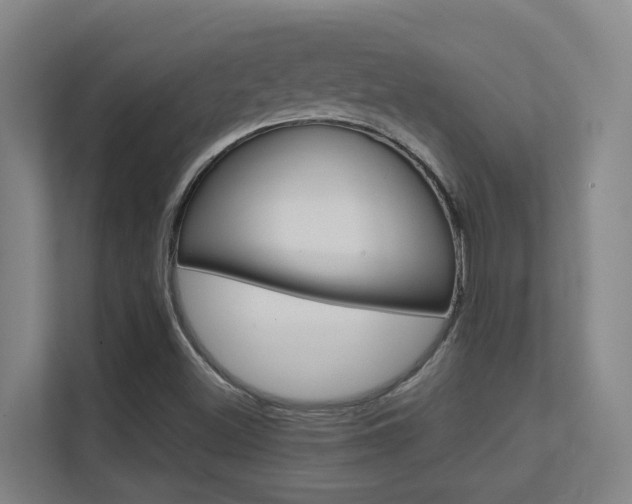 X0000112371500200908131244
