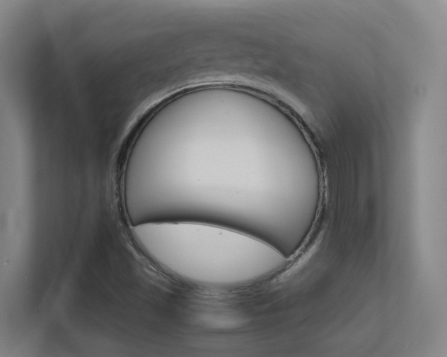 X0000112371501200908131244