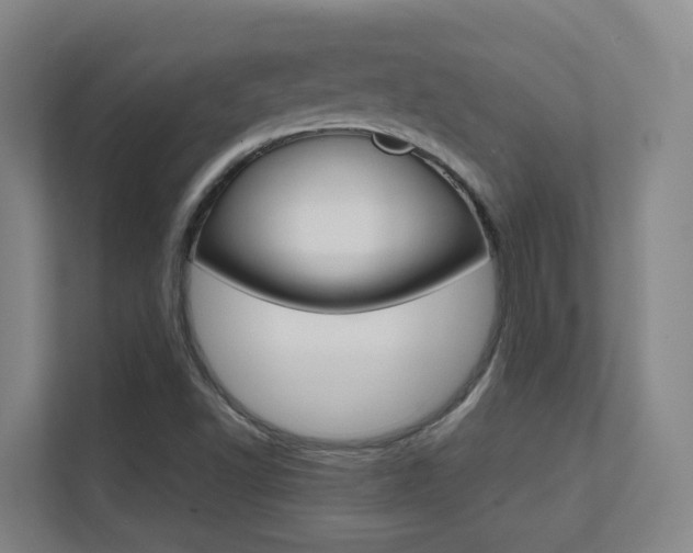 X0000112371502200908131244