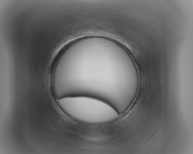 X0000112371503200908131244