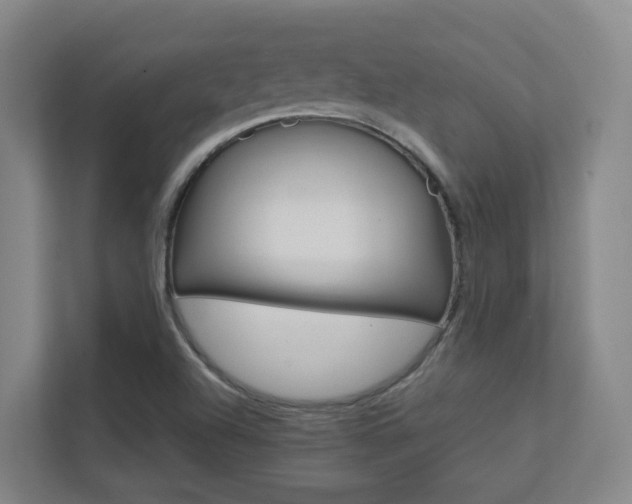 X0000112371504200908131244