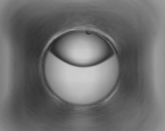 X0000112371506200908131244
