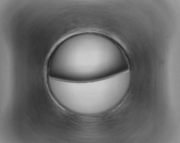 X0000112371508200908131244