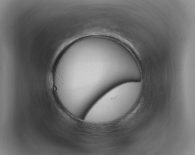 X0000112371509200908131244