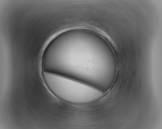 X0000112371512200908131244