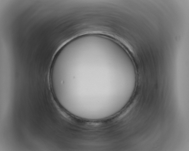 X0000112371513200908131244