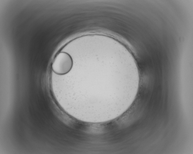 X0000112371514200908131244