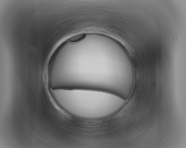 X0000112371515200908131244