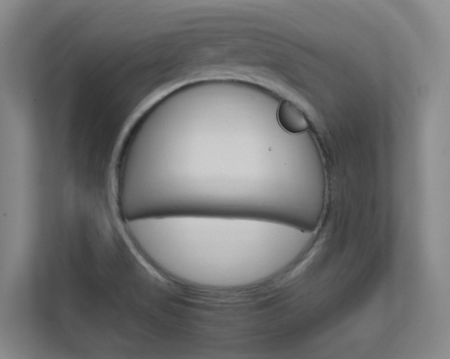 X0000112371517200908131244