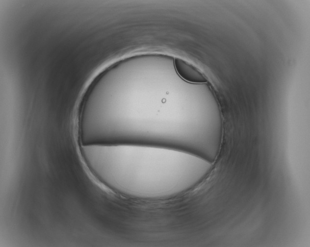 X0000112371519200908131244